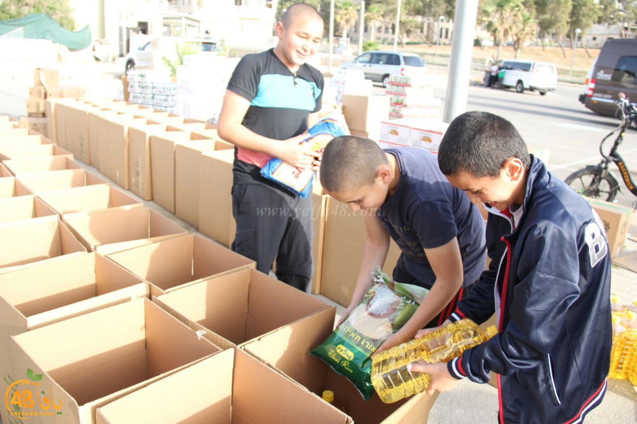 jami3ya torodya (14).jpg